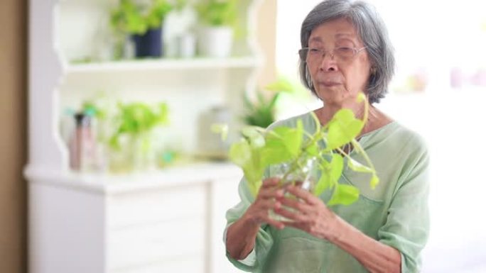 妇女在家中种植盆栽植物以维持可持续生活
