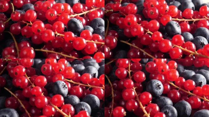 红醋栗和蓝莓轮盘红色浆果