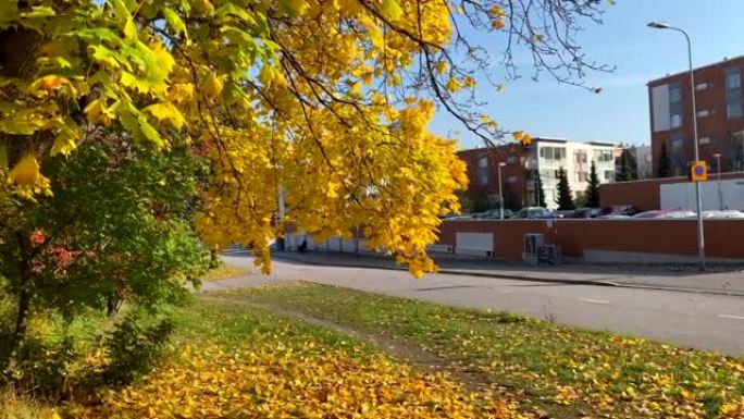 芬兰小镇万塔的秋天颜色