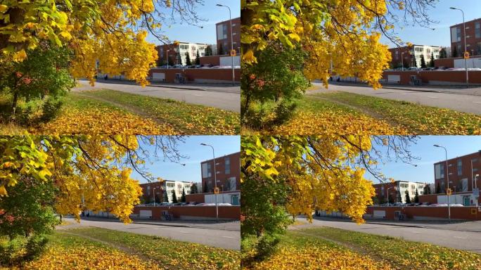 芬兰小镇万塔的秋天颜色