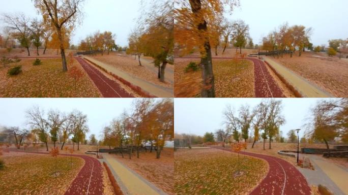 秋日在城市公园慢跑。鸟瞰图。在树木和运动场之间在城市中奔跑的地方