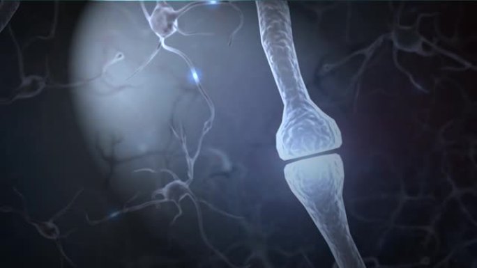 脑神经元活动大脑传递信息经络脉络