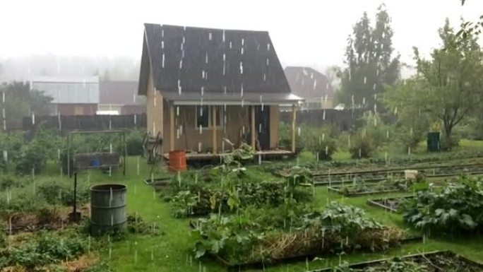 花园地里下着大雨。雨季。在秋天，