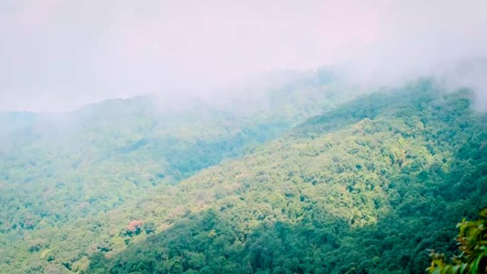 福雷斯特山和太阳照耀秋树的薄雾泰国北部4k史诗般的荣耀灵感徒步旅行和旅游概念
