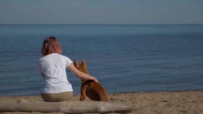 一名年轻女子带着法老品种的红狗沿着海岸旅行。夏天阳光明媚的日子，蓝天。