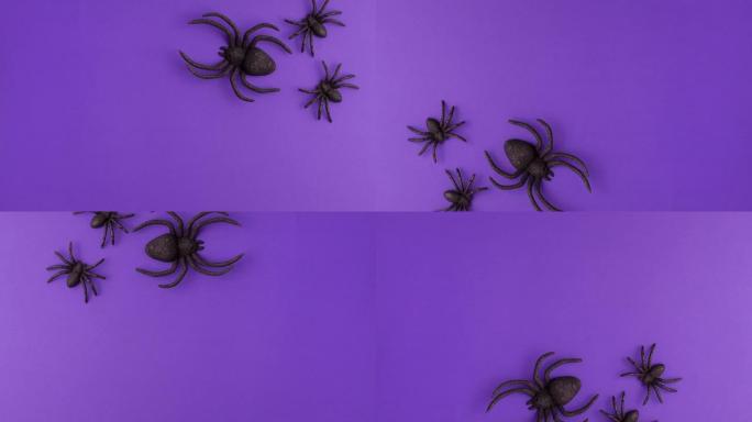 一个大的和两个微小的黑色人造蜘蛛的停止运动动画，它们在充满活力的紫色背景上爬行，并带有复制空间。万圣