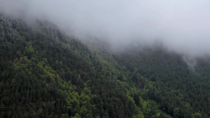 延时陡峭的山坡上覆盖着永恒的绿色森林，上面铺着低云的积雪。山区4k云运动