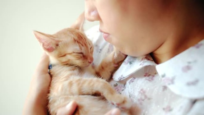 亚洲妇女让小猫从新家的笼子里出来。收养流浪猫的概念要有一个爱并能照顾他们的新主人。