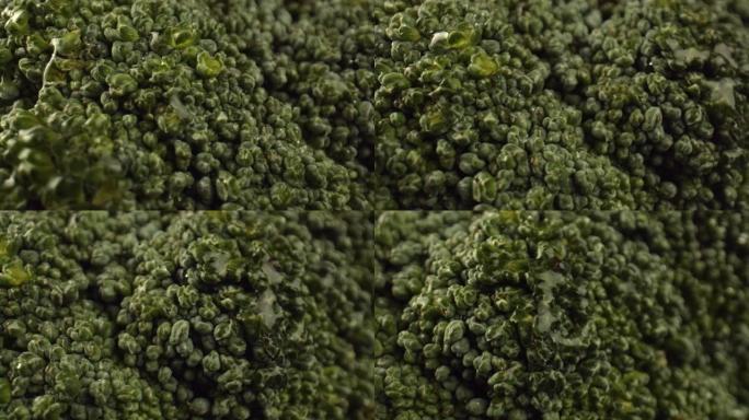 多汁绿色西兰花卷心菜的宏观拍摄。新鲜收获。含量高，对白菜体内微量元素有用。蔬菜。