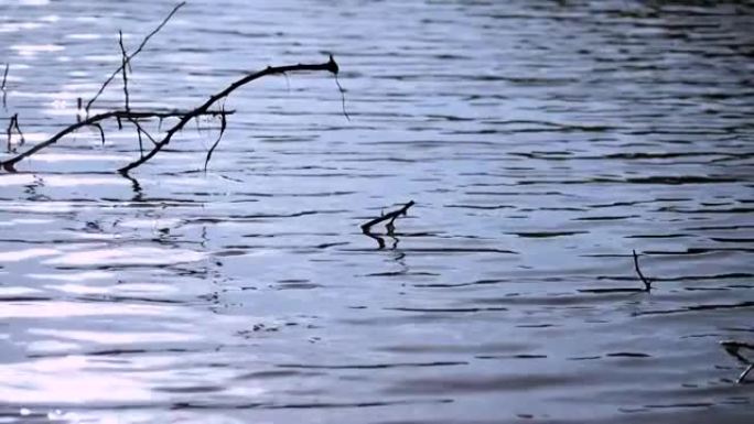 河水清澈流动的特写镜头。在印度古吉拉特邦布吉的Khari riverin