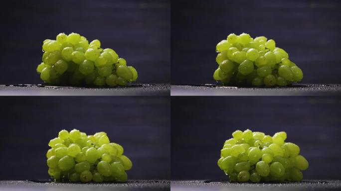 一束水滴成熟的绿色葡萄在灰色的工作室背景上旋转。多汁的甜葡萄浆果特写。秋收水果屏保。慢动作