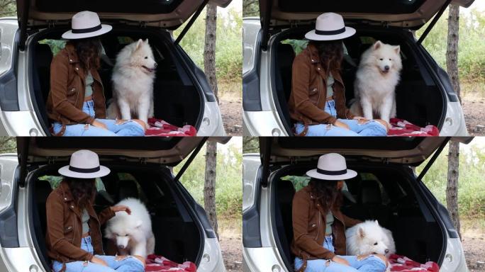 一个女人正在和她的四条腿的朋友，狗萨摩耶在大自然中玩耍。戴帽子的女人坐在汽车里抚摸狗。