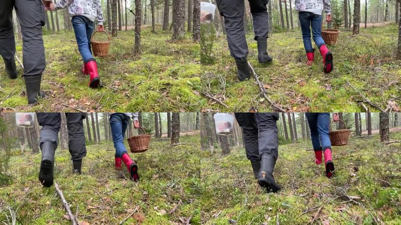 爸爸和女儿的脚腿穿着橡胶靴和蘑菇篮子在树林中行走。家庭消遣，秋日采蘑菇林