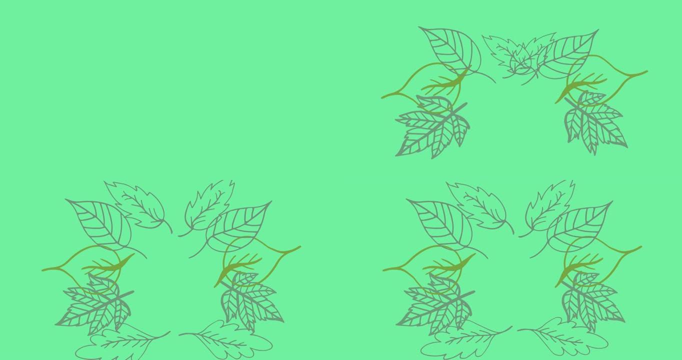在绿色背景上形成的植物叶子框架的动画