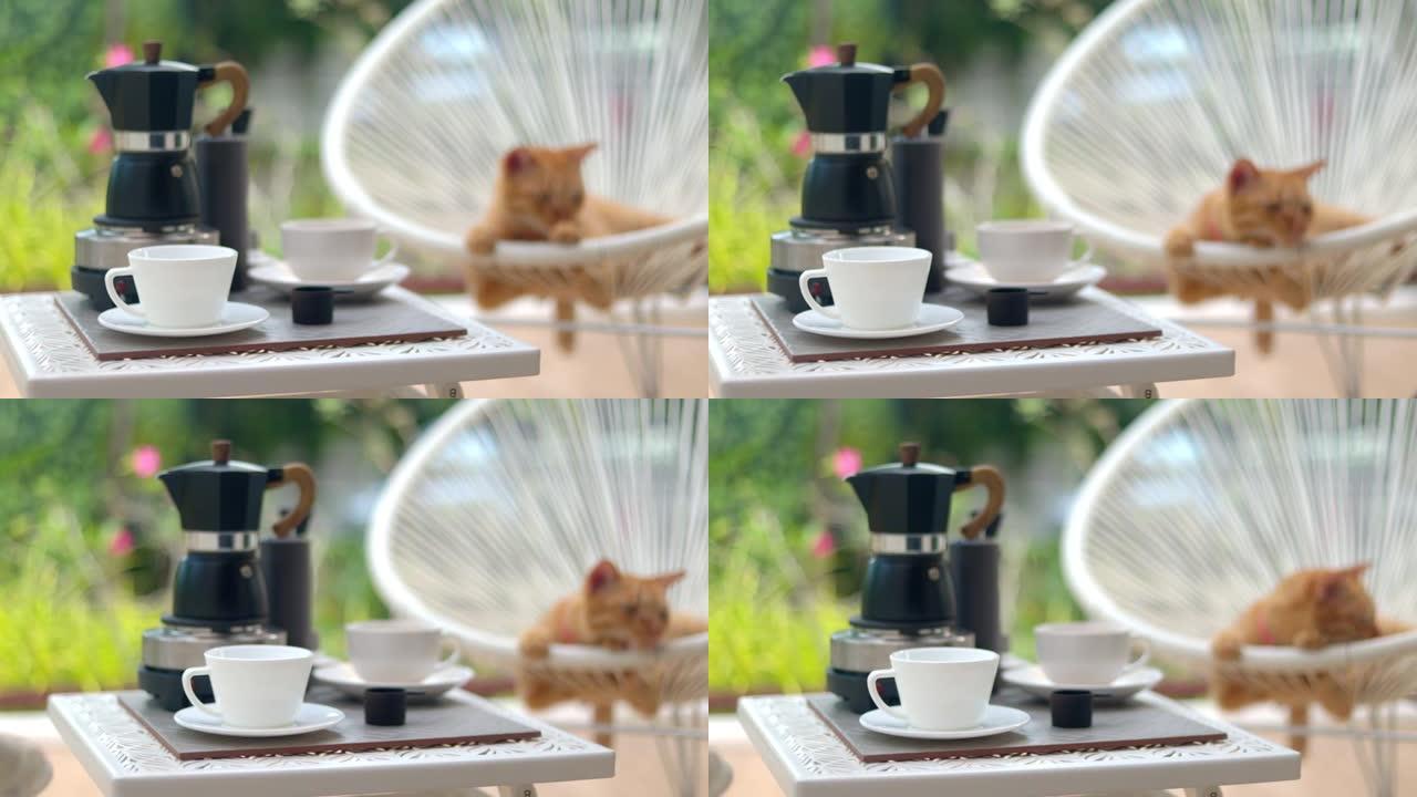 咖啡警察和猫在塑料藤椅上放松