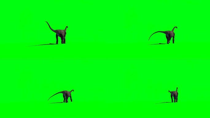 在绿色屏幕上行走的腕龙恐龙
