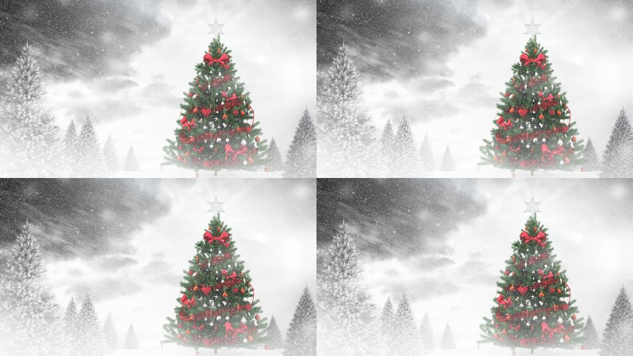 积雪落在圣诞树上，冬季景观上有多棵积雪覆盖的树木