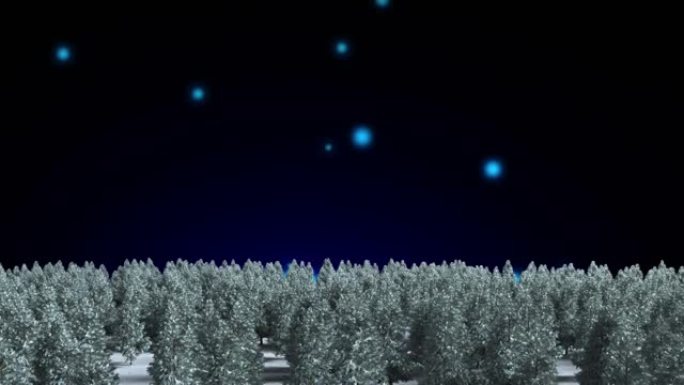 冬季景观上的多棵树木落在黑色背景下的蓝色灯光上