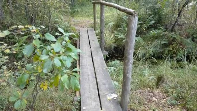 爱沙尼亚森林中央的木制步道桥
