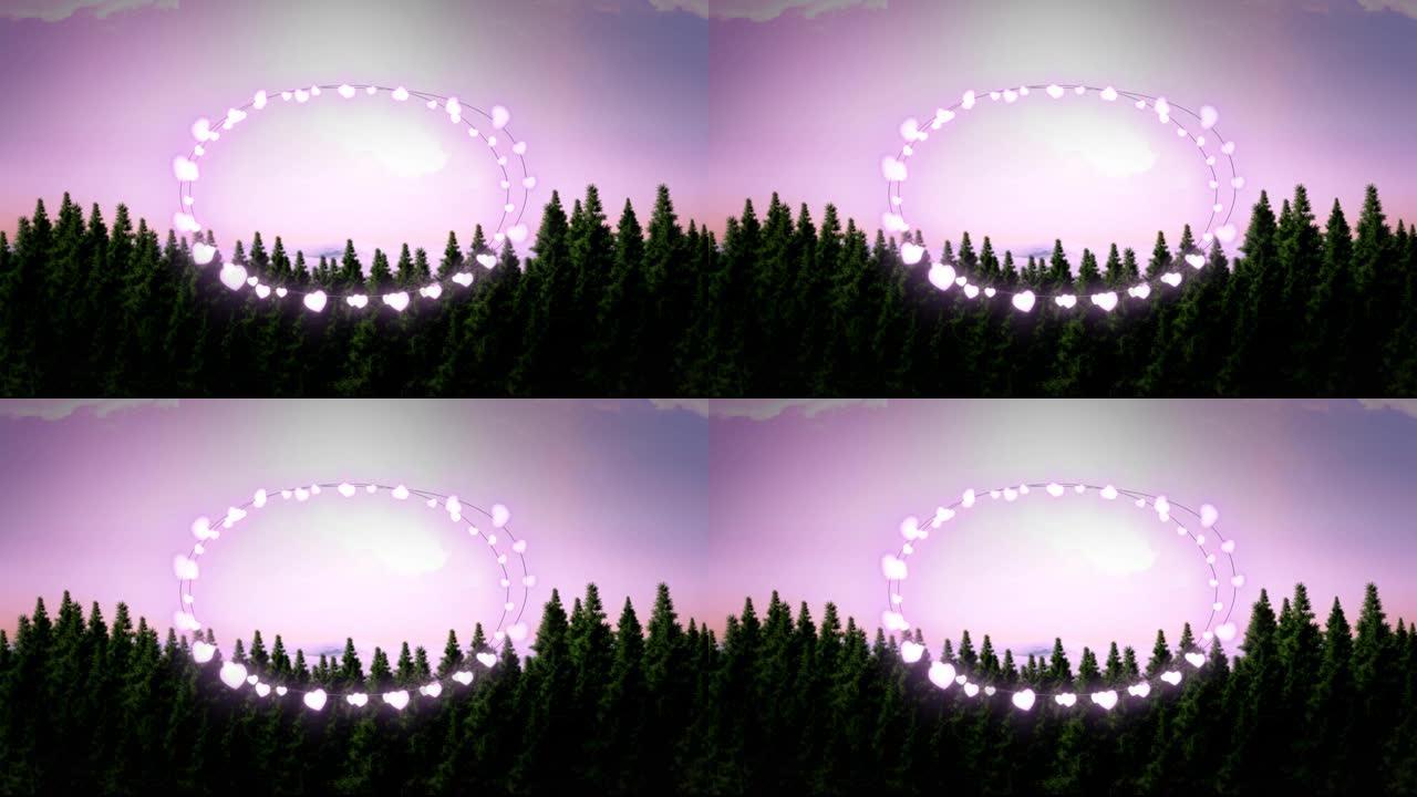杉树上有复制空间的仙女光框动画和冬季风景