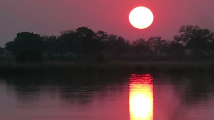 非洲河上的红色和金色日落太阳在水面上的金色小巷