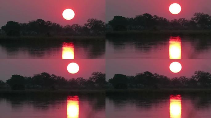 非洲河上的红色和金色日落太阳在水面上的金色小巷