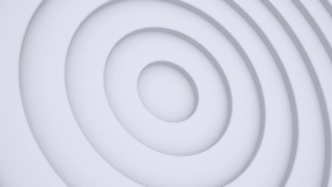 同心径向波，白色圆圈和环动画循环几何背景。3d运动图形，4k动态壁纸