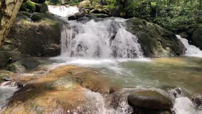雨林中的瀑布林业绿化树林植被生态水源