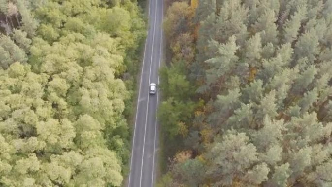 秋天，沿着白色汽车穿越乡村道路。在黄色秋季森林的乡村路线上行驶。SUV在美丽的秋季穿越风景优美的风景