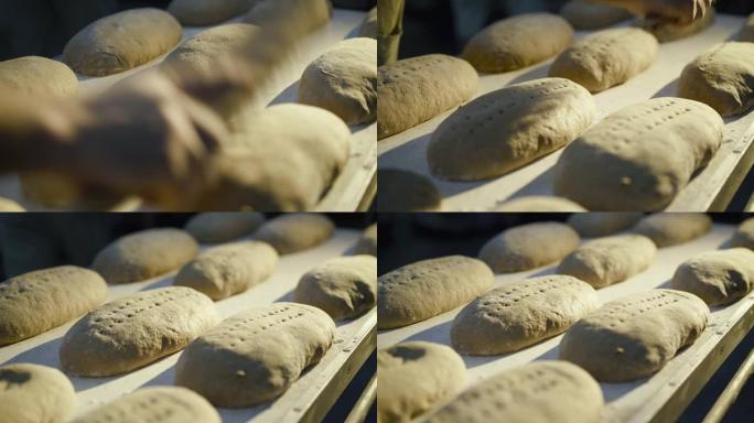 在发酵液上制备和压制有机黑麦面包以进行烘烤的近距离观察