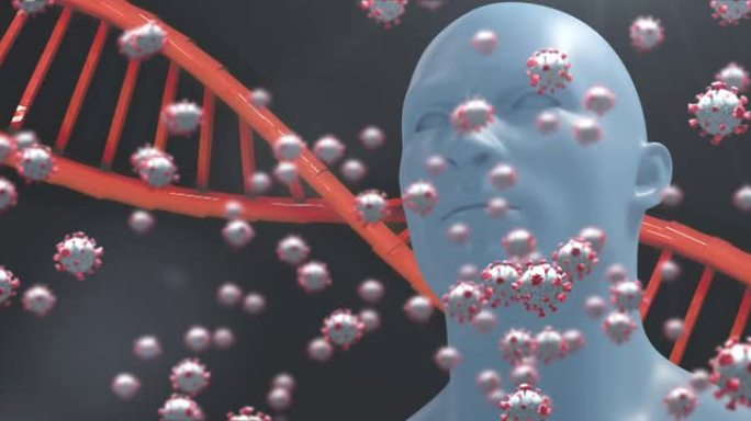 与Covid 19细胞的DNA链纺丝动画，黑暗背景上的人类模型。全球医学