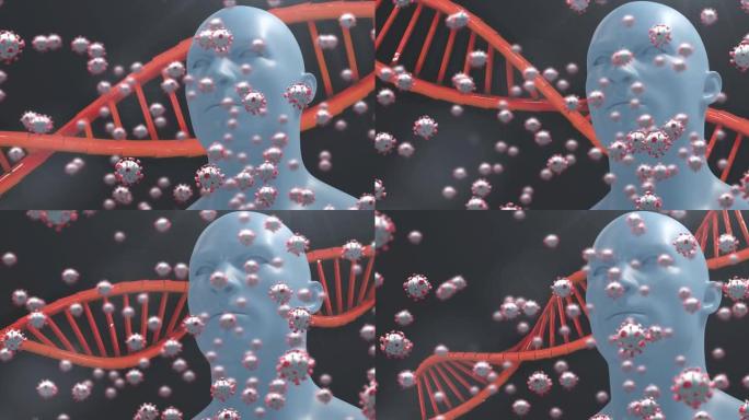 与Covid 19细胞的DNA链纺丝动画，黑暗背景上的人类模型。全球医学