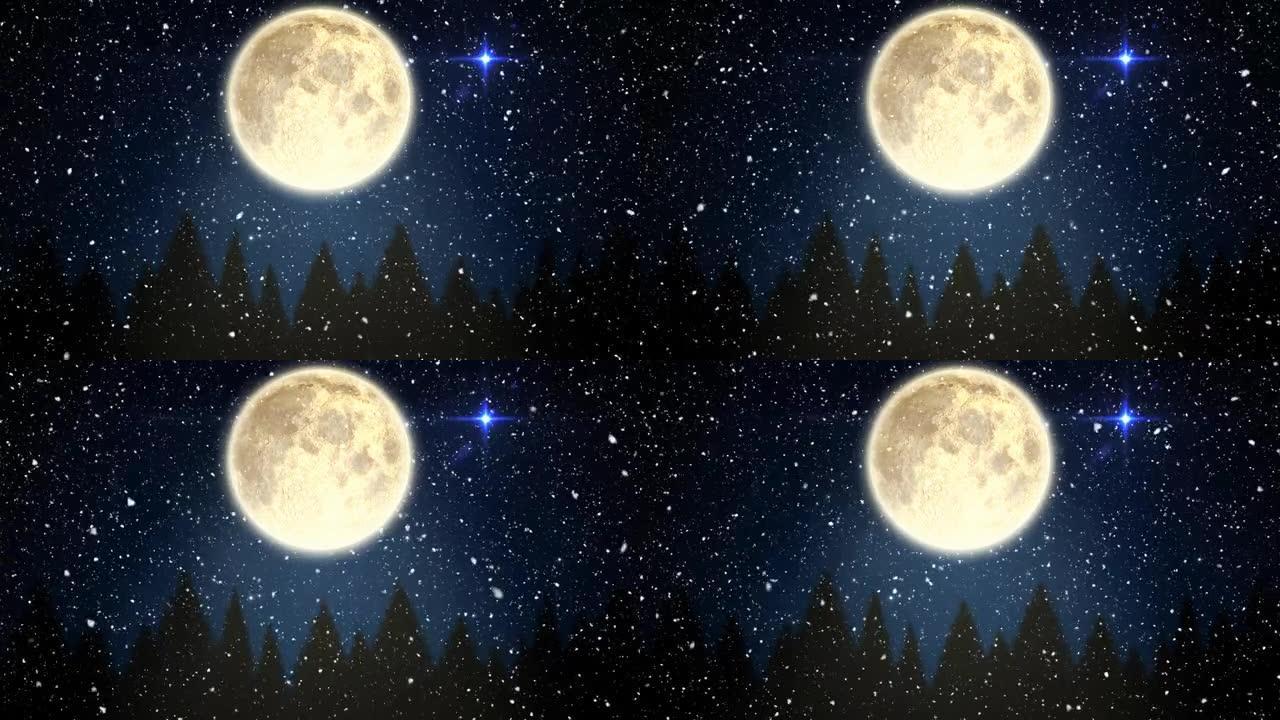 雪落在冬天的树木上，月亮和夜空中的闪亮星星