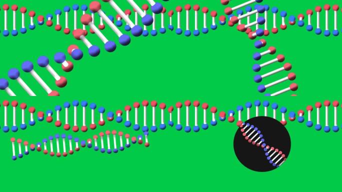 两股dna链在绿屏上旋转的动画，复制空间