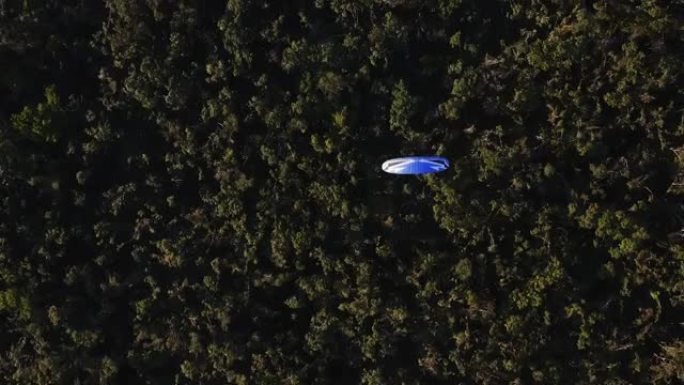 在绿色森林上空飞行的发动机动力滑翔伞的俯视图