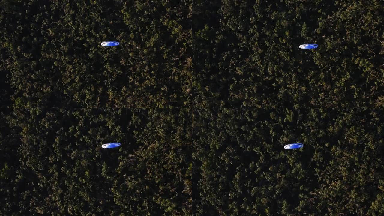 在绿色森林上空飞行的发动机动力滑翔伞的俯视图