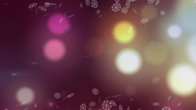 雪花和灯光落在紫色背景上的动画