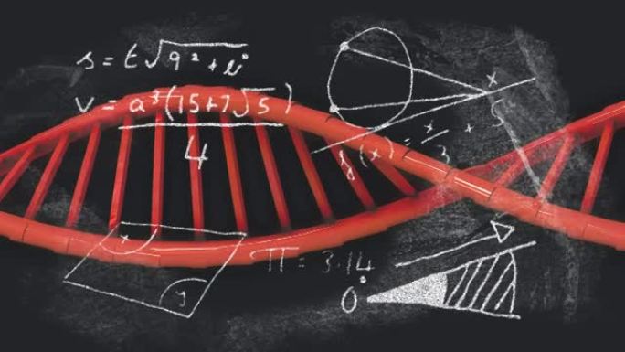 黑色背景上的DNA链旋转的动画。全球医学研究科学