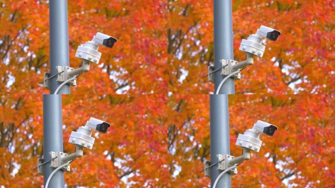 4k慢动作60fps秋季城市中的安全摄像头