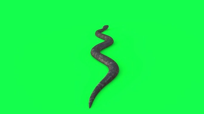 蛇绿色屏幕