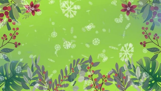 雪花落在绿色背景上的花卉设计上的数字动画