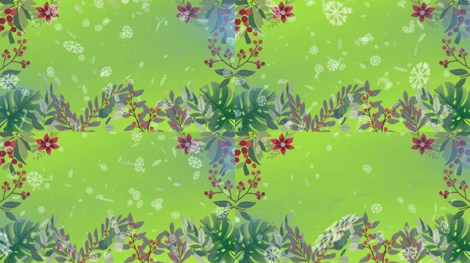 雪花落在绿色背景上的花卉设计上的数字动画