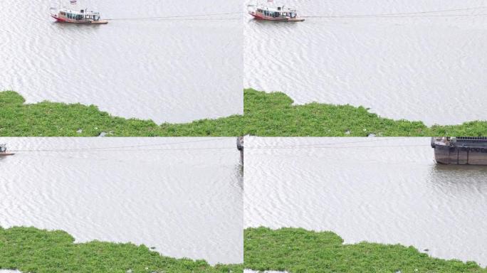 潮拉亚河上的水葫芦杂草。水葫芦太多了。水污染概念。