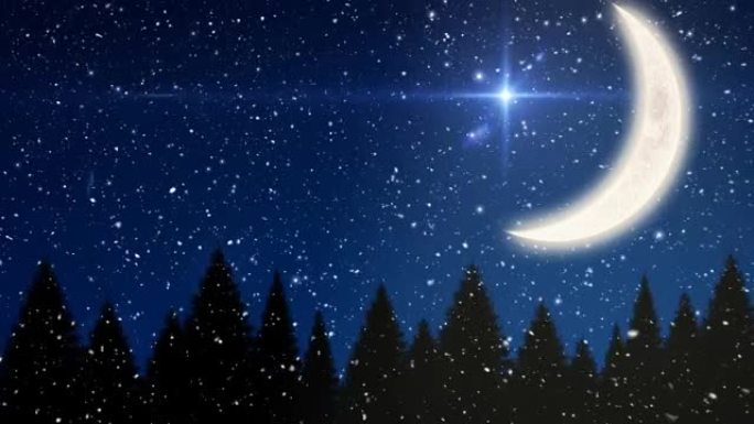 雪花落在枞树上的动画，蓝天上发光的星星和月亮