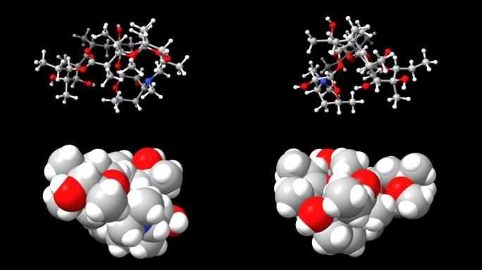 大环内酯类抗生素红霉素的动画3D球棒和空间模型