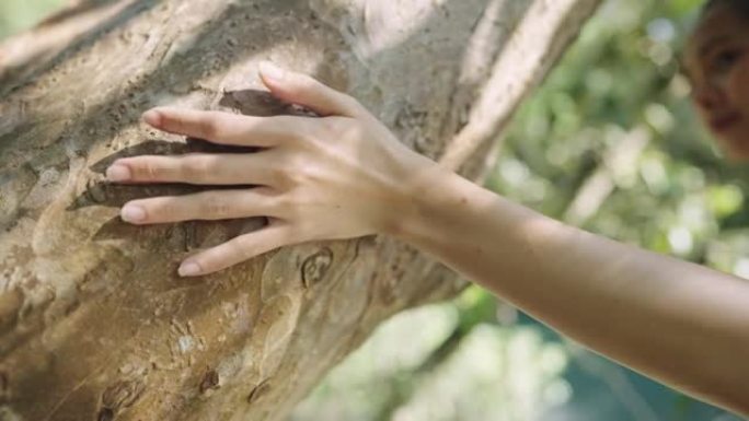 年轻女性在树干上的触摸和感觉，节约地球环境保护理念，自然资源，人类和植物，植物国家公园，回归自然，在