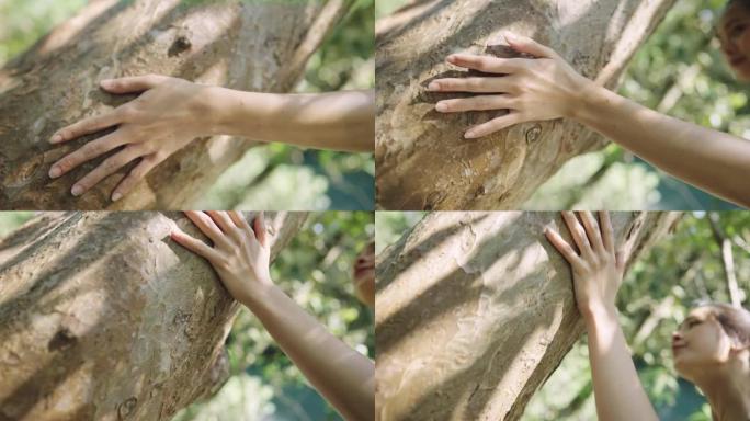 年轻女性在树干上的触摸和感觉，节约地球环境保护理念，自然资源，人类和植物，植物国家公园，回归自然，在