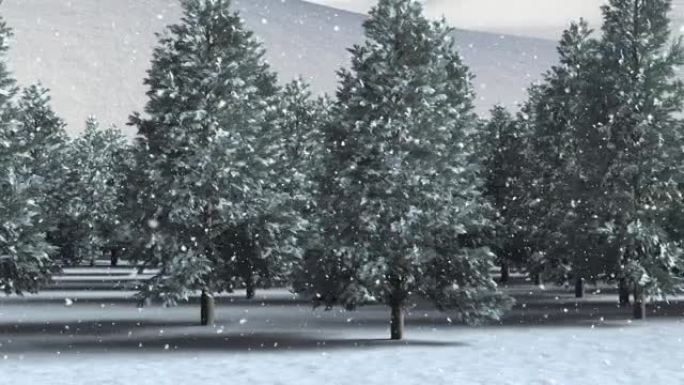 雪落在白色背景下的冬季景观上的多棵树上