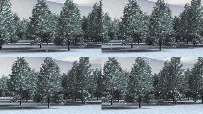 雪落在白色背景下的冬季景观上的多棵树上