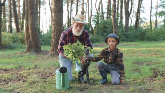 好看的快乐微笑的大胡子祖父和他的孙子在公园种植橡树幼苗时在相机上摆姿势，慢动作